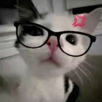 ._yazuri_.1