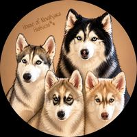 novakiarathefurryhuskies