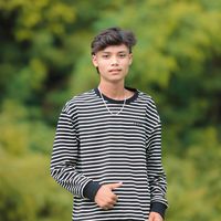 dipu.sunar87