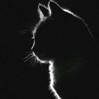 เสียงต้นฉบับ - นาย  ลักษณ์