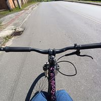 welington_fds