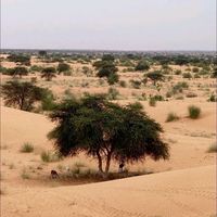 اصل آواز