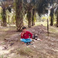 suara asli - Mullop Lonong