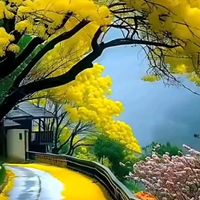 오리지널 사운드 - 🌴🌴🌴⚘️행복맘🌼🌸🌴🌴