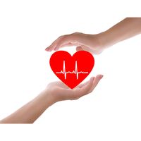 nhạc nền - Nhạc Xưa & Nay