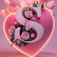 snlove443