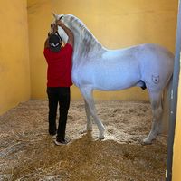 alejandrorodrigue6012