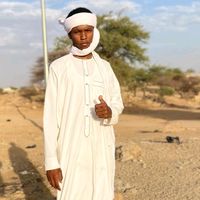 hassanaliali788