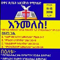 kidist.tafese7