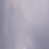 habibianakbaik3