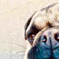 original sound - naossh_svett