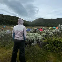 original sound - rvndyprstyo