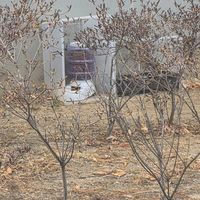 오리지널 사운드 - 이것저것