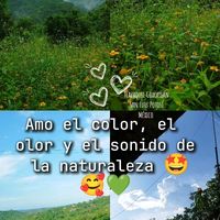 tlazaquilcoxcatlanslpmex