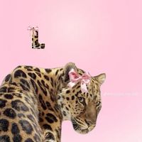 lindascim2d