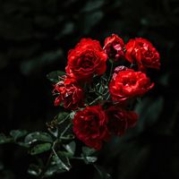 nhạc nền - Nhạc Chill 🎶