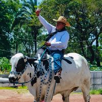 marcelinopatricioalmeida