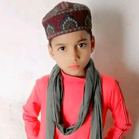 aneesanees9476