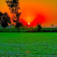 maher.m.shahzaib