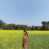 ankitachy89