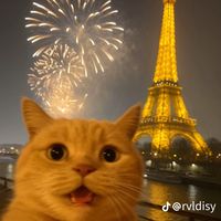 nhạc nền - Dennis FF 🇻🇳