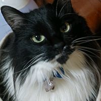 オリジナル楽曲 - けいえふ♡