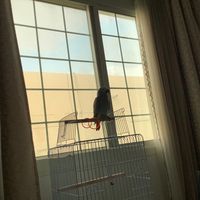 mohamed_alzaidi2018