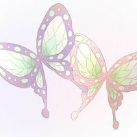 yoyo_.zw