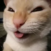 original sound - mexxaprime_