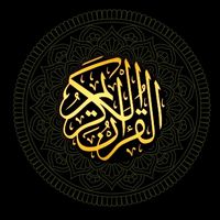 holyquran8502