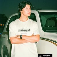 الصوت الأصلي