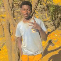 omer086955