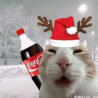 suara asli - Perdrot