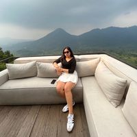 dessymonichaginting