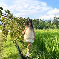 nhạc nền - Én🐰