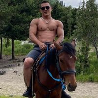 talgat.fitness