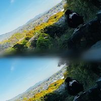 オリジナル楽曲 - 今宮推し