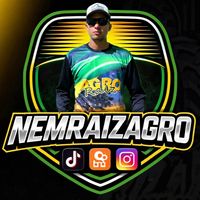 nemraizagro