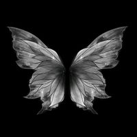 original sound - Shadow