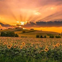 original sound - blue.skyy___