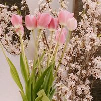 オリジナル楽曲 - ななこ🪽💗💍