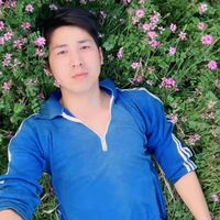 nhạc nền - sonteavn