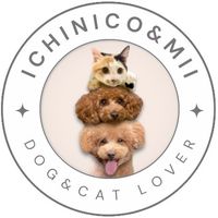 ichi._.nico