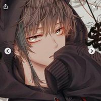 user66556094301206