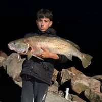 fishingwithk4