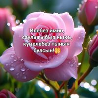 tatarka_2026
