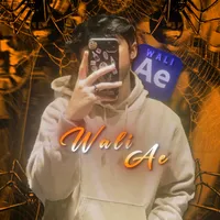 original sound - wali_ae