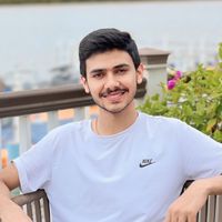 r_ali_dhanyal