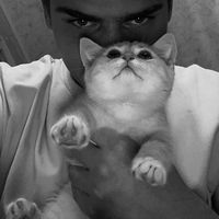 оригинальный звук