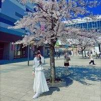iinie5.21